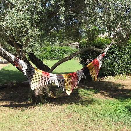 Cortijo Del Cura Guest House Cortijos Nuevos ภายนอก รูปภาพ