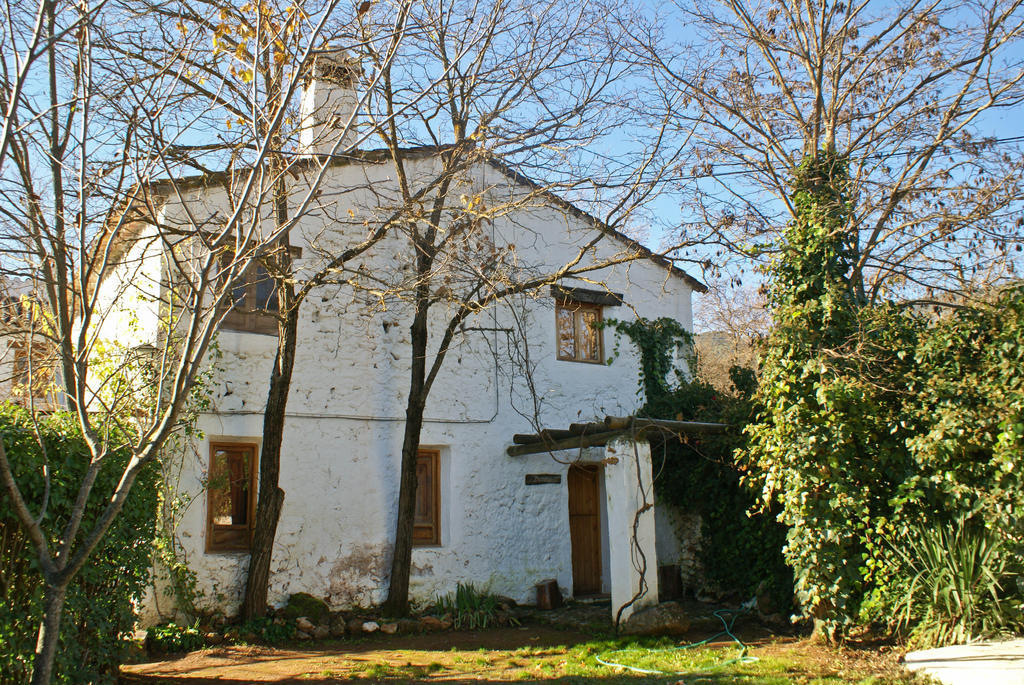 Cortijo Del Cura Guest House Cortijos Nuevos ภายนอก รูปภาพ